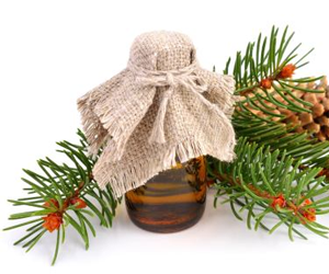 Fir needle essential oil nutrition facts and health benefits |HB times