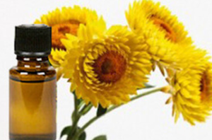 Health Benefits of Helichrysum Essential Oil
