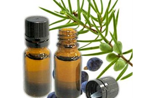 Health Benefits of Juniper Berry Essential Oil