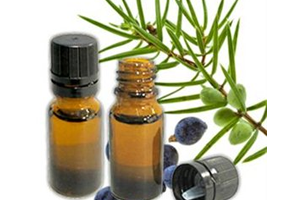 Health Benefits of Juniper Berry Essential Oil
