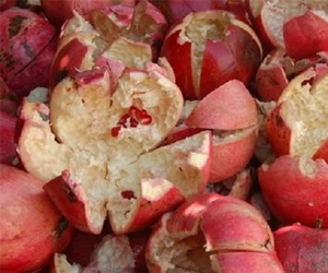 Health Benefits of Pomegranate Peels