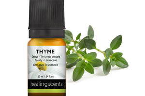 Health Benefits of Thyme Essential Oil