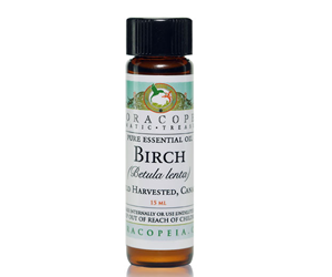 Health benefits of Birch Essential Oil