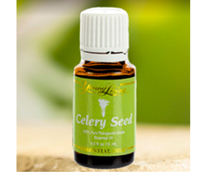 Health benefits of Celery seed Essential Oil