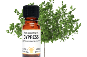Health benefits of Cypress Essential Oil