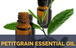 Petitgrain essential oil facts and benefits
