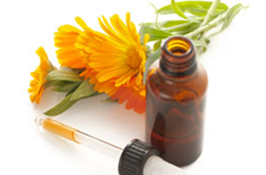 Health Benefits of Calendula Essential Oil