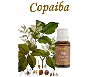 Health Benefits of Copaiba Essential oil