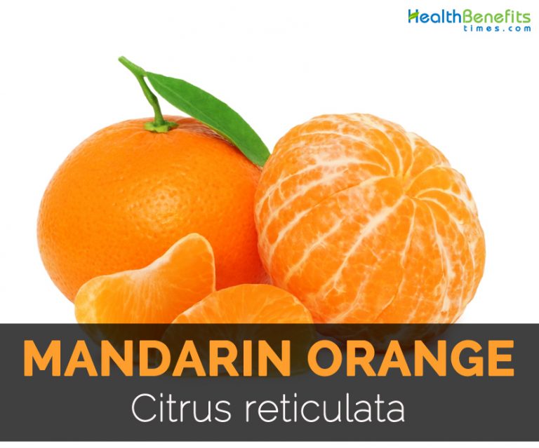 Mandarin orange Facts, Health Benefits & Nutritional Value Good Mood