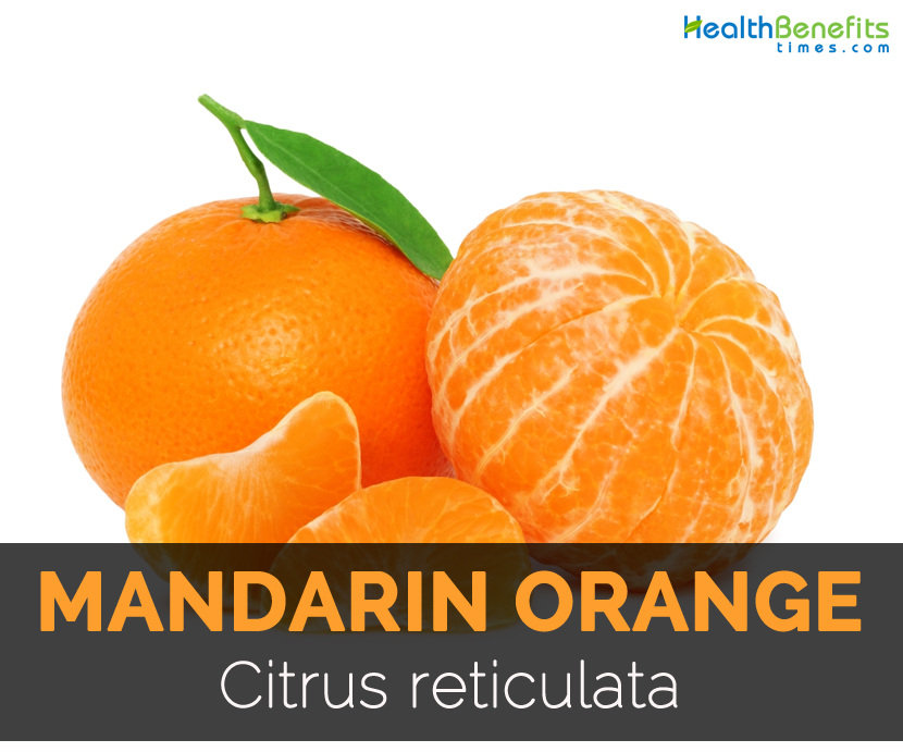 Nutrition Facts and Benefits of mandarins - Forever Fresh LLC