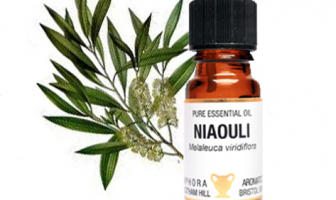 Niaouli Essential Oil