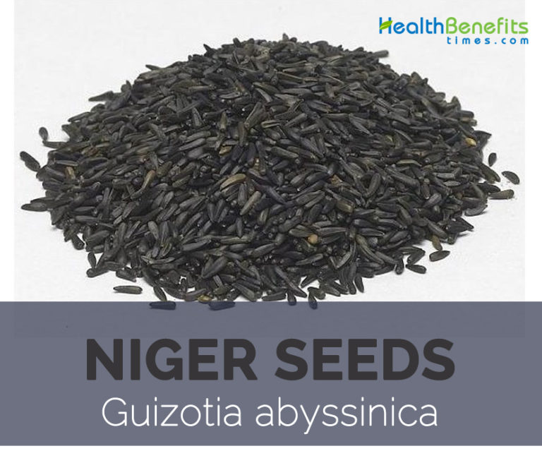 Niger seeds facts and health benefits