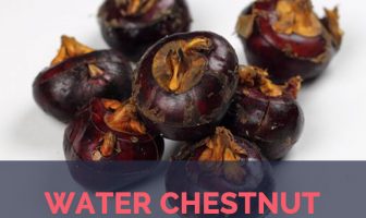 Water Chestnut facts and health benefits