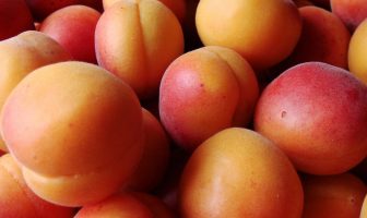 Apricot Nutritional Value