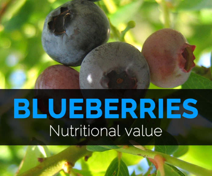 Blueberries nutritional value
