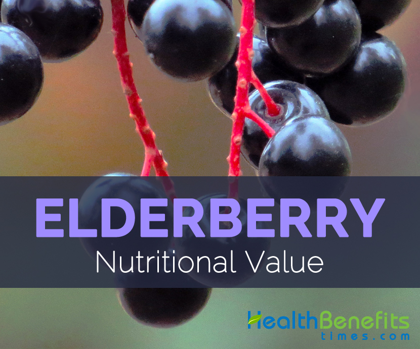 Elderberry Nutritional Value