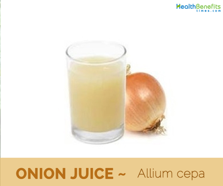 OnionJuicehealthbenefits Health Benefits