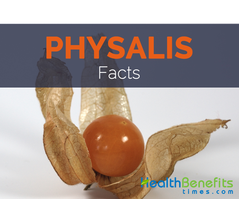 Physalis Facts