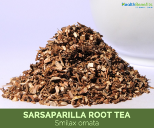 Sarsaparilla Root Tea - Smilax ornata