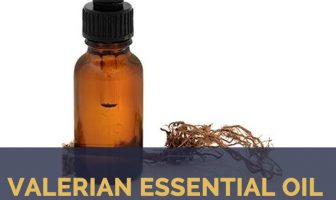 Valerian essential oil facts and health benefits