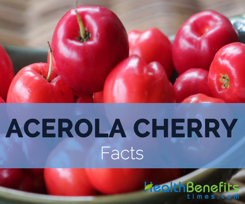 Acerola-cherry-facts