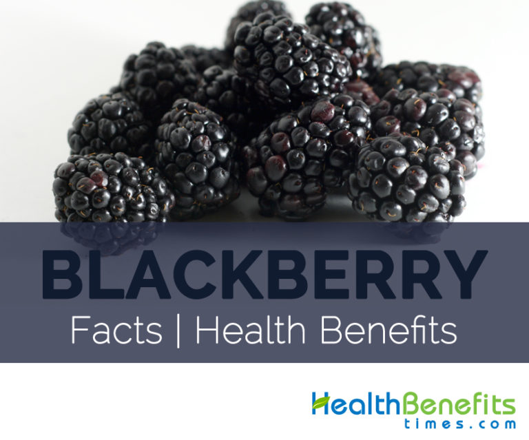 Blackberry Facts, Health Benefits and Nutritional Value