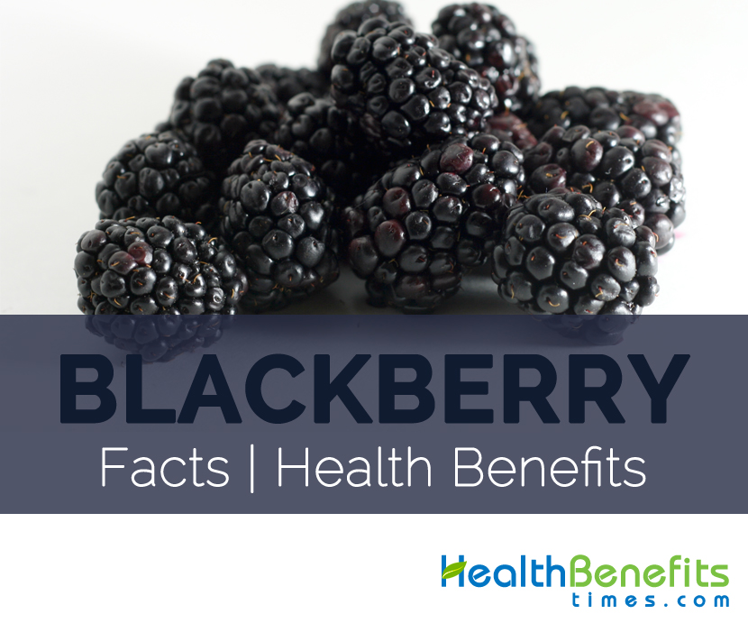 Blackberry Facts and Health Benefits