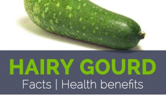 Hairy Gourd Facts and Health benefits