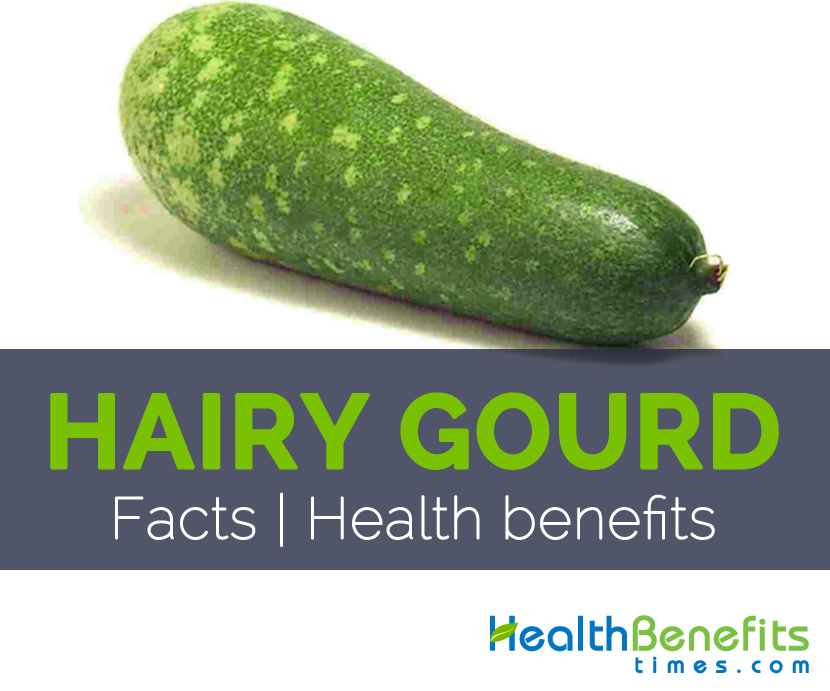 Hairy Gourd Facts and Health benefits