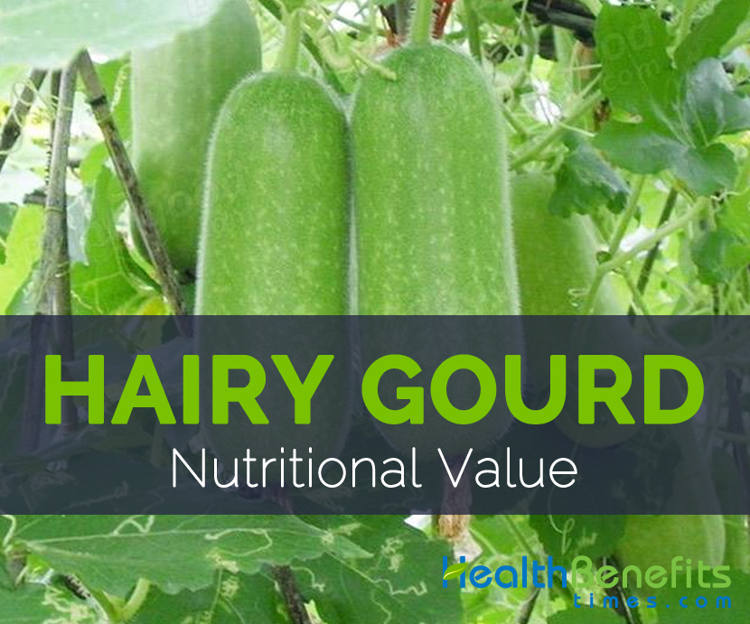 Hairy Gourd Nutritional Value