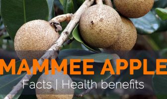 Health benefits of Mammee Apple