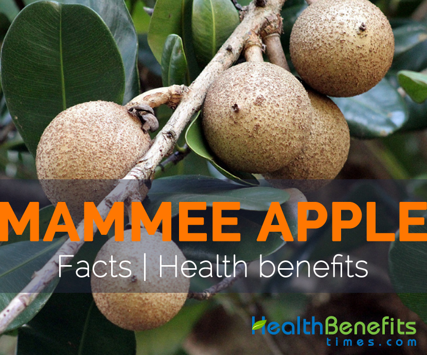 Health benefits of Mammee Apple