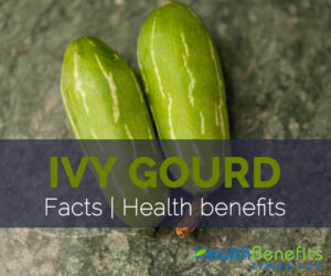 Ivy Gourd Facts and Health benefits