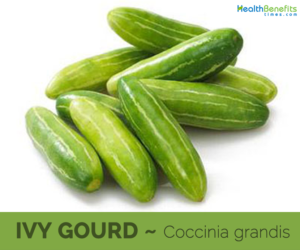 Ivy-Gourd-Health-benefits