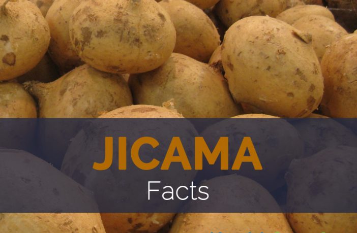 How poisonous is jicama?