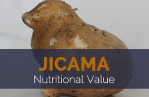 Jicama Nutritional value