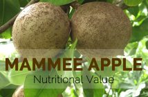 Mammee Apple Nutritional Value
