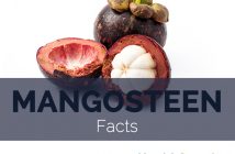 Mangosteen Facts