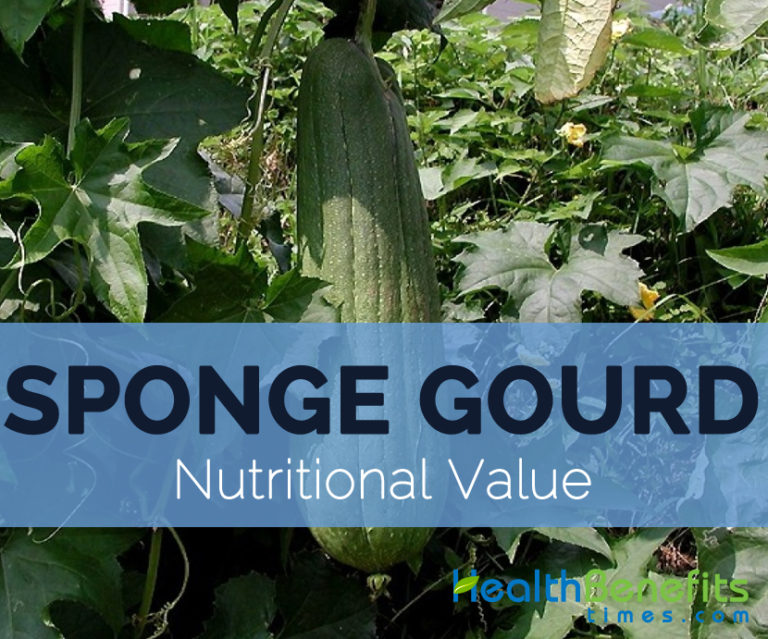Sponge gourd, Towel gourd Nutritional value and DV