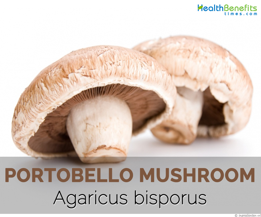 Portobello-mushroom---Agaricus-bisporus