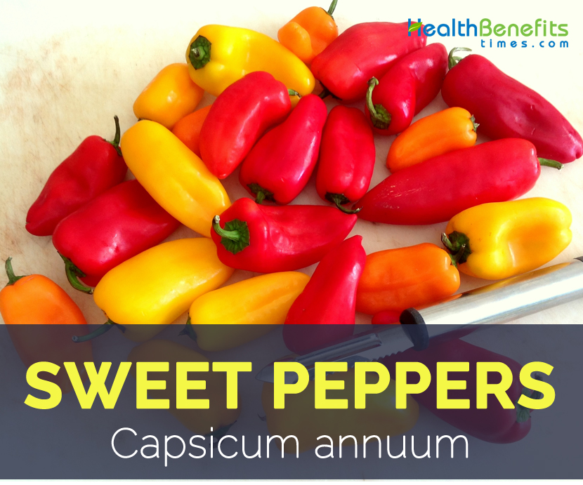 Sweet peppers facts and health benefits