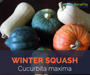 Winter Squash facts and health benefits