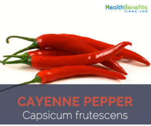 Cayenne pepper facts and health benefits