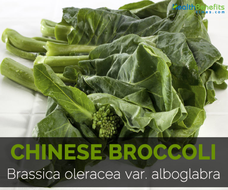 Chinese broccoli Facts, Health Benefits & Nutritional Value
