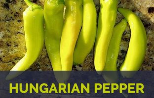 Hungarian Pepper facts and health benefits