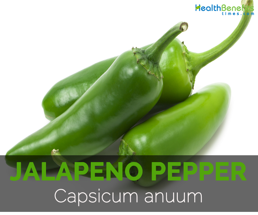 Jalapeno-pepper-Capsicum-anuum