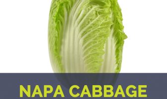 Napa cabbage facts and health benefits