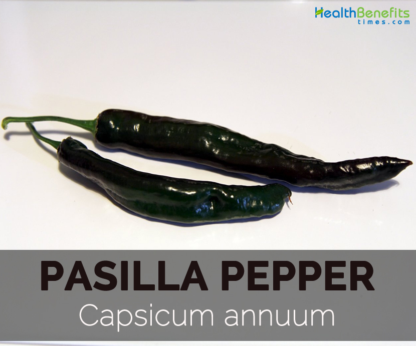 Pasilla-pepper---Capsicum-annuum