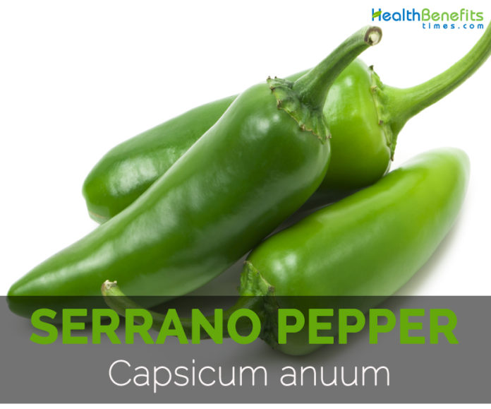 Serrano pepper Facts, Health Benefits and Nutritional Value