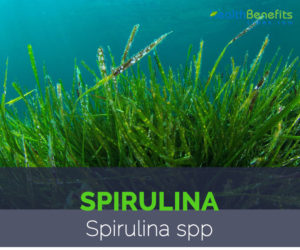 Spirulina facts and health benefits